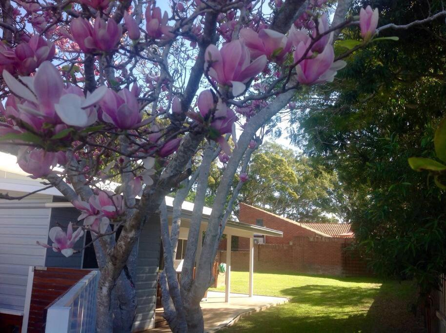 Magnolia Cottage 科夫斯港 外观 照片