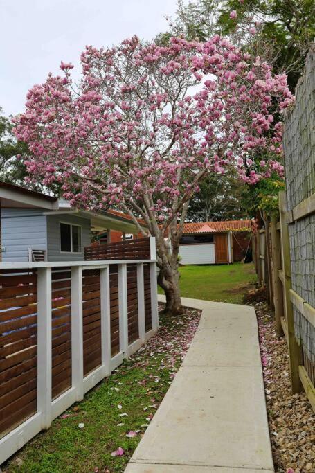 Magnolia Cottage 科夫斯港 外观 照片