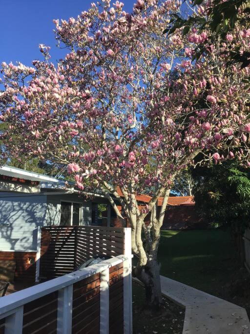 Magnolia Cottage 科夫斯港 外观 照片